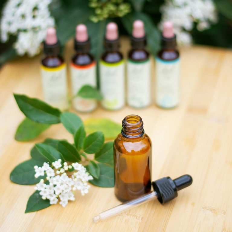 Outils naturels en naturopathie Flacons de plantes et d’huiles naturelles utilisés dans une approche de naturopathie